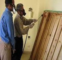 شركة مكافحة النمل الابيض بالطائف