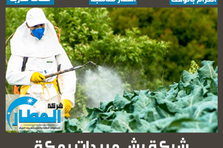 شركة رش مبيدات بمكة