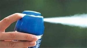 شركة مكافحة الحشرات بالدمام