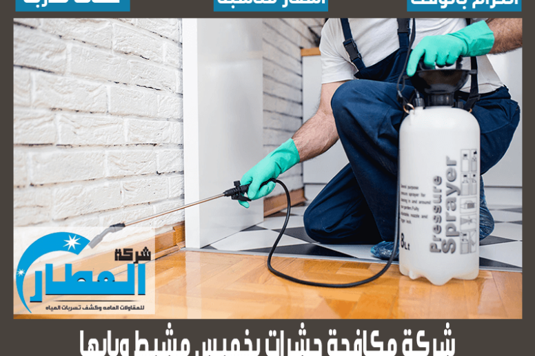 شركة مكافحة حشرات بخميس مشيط