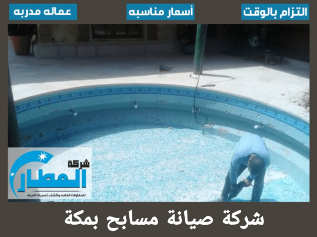 شركة صيانة مسابح بمكة