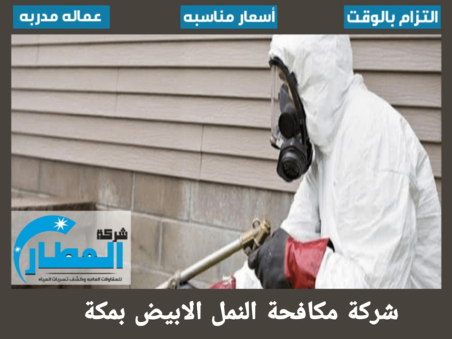 شركة مكافحة النمل الابيض بمكة