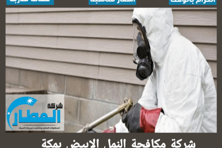 شركة مكافحة النمل الابيض بمكة