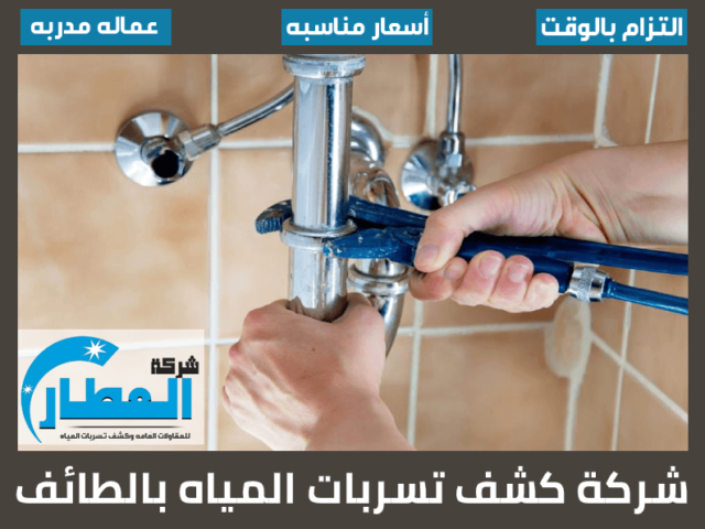 شركة كشف تسربات المياه بالطائف