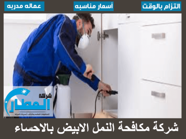 شركة مكافحة النمل الابيض بالاحساء