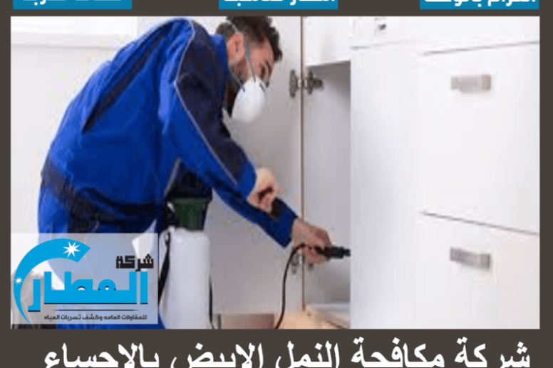 شركة مكافحة النمل الابيض بالاحساء