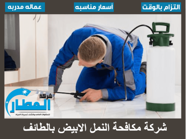 شركة مكافحة النمل الابيض بالطائف