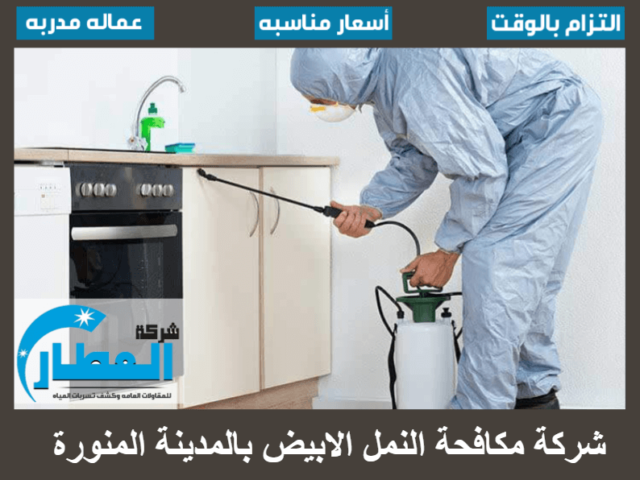 شركة مكافحة النمل الابيض بالمدينة المنورة