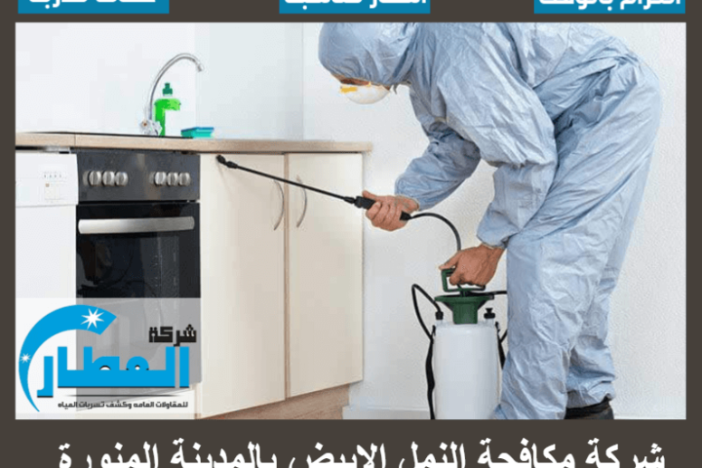 شركة مكافحة النمل الابيض بالمدينة المنورة