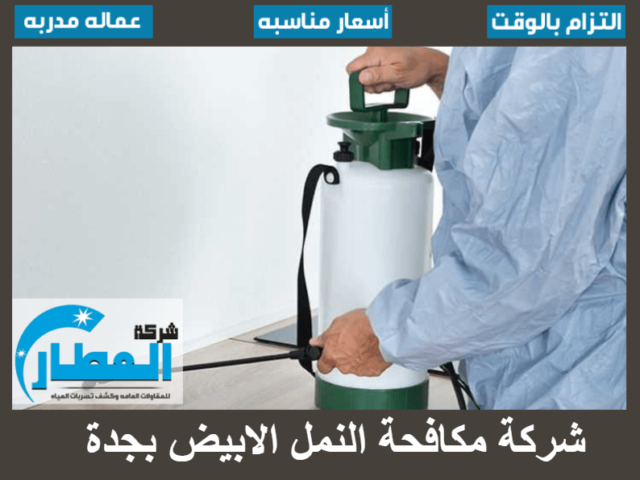 شركة مكافحة النمل الابيض بجدة