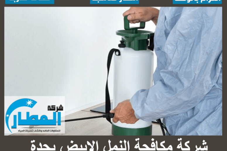 شركة مكافحة النمل الابيض بجدة