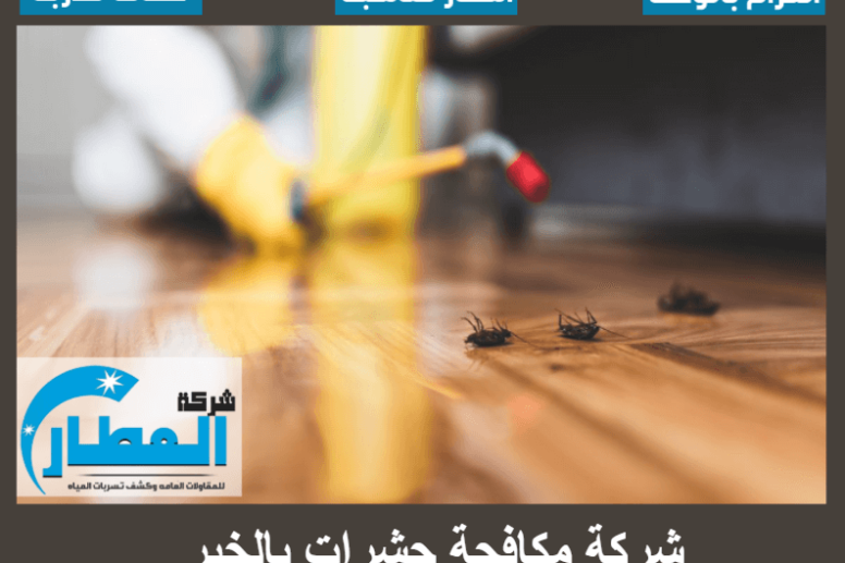 شركة مكافحة حشرات بالخبر