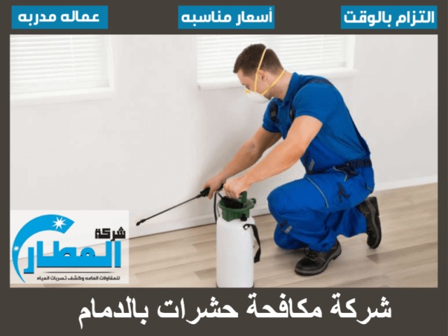 شركة مكافحة حشرات بالدمام
