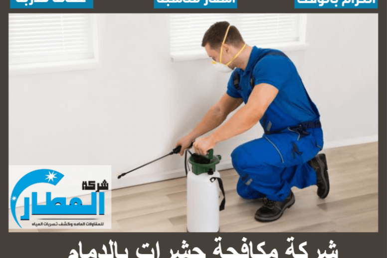 شركة مكافحة حشرات بالدمام