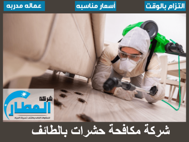 شركة مكافحة حشرات بالطائف