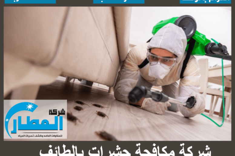 شركة مكافحة حشرات بالطائف