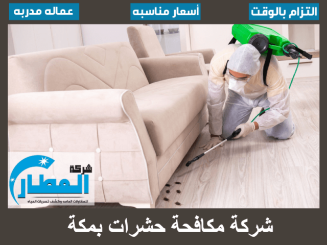 شركة مكافحة حشرات بمكة