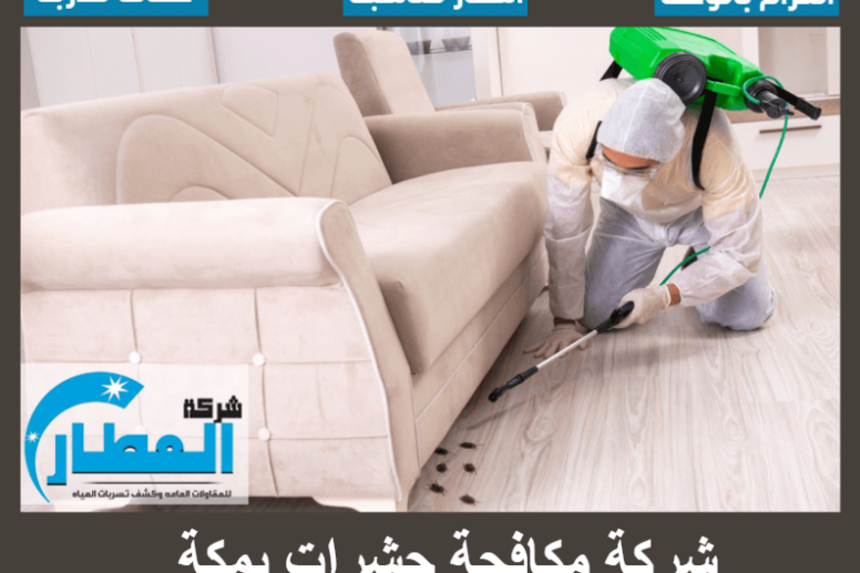 شركة مكافحة حشرات بمكة