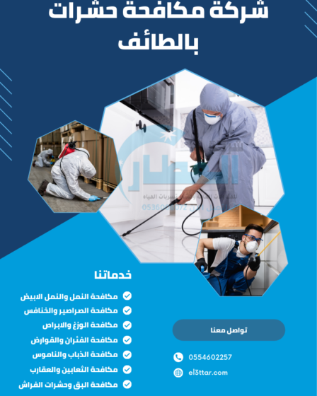 شركة مكافحة حشرات بالطائف
