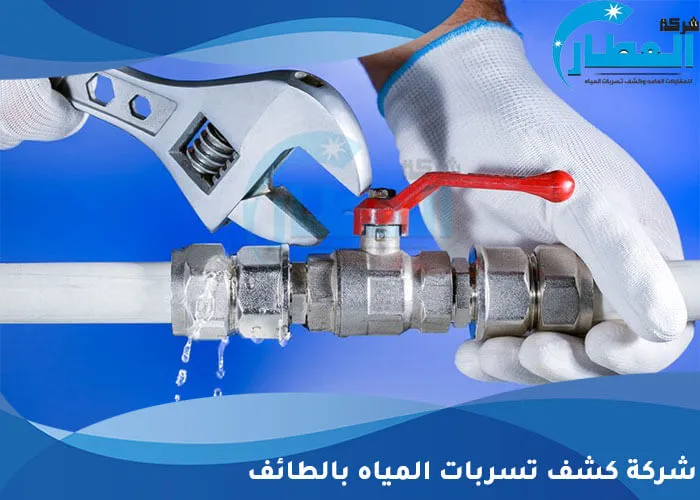 شركة كشف تسربات المياه بالطائف