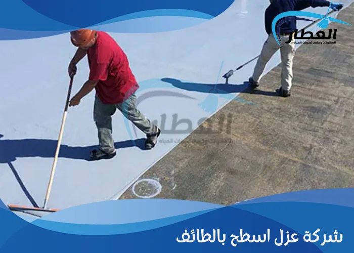 شركة عزل اسطح بالطائف